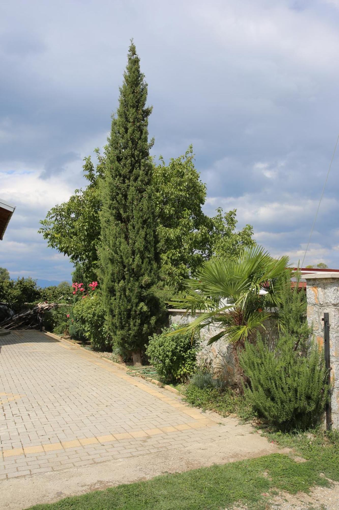 Villa Goriza Prestige Ohrid Exterior foto